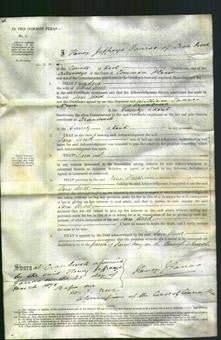 Court of Common Pleas - Sara Wood-Original Ancestry