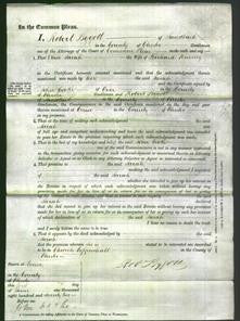 Court of Common Pleas - Sarah Kenney-Original Ancestry