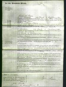 Court of Common Pleas - Ann Stevens-Original Ancestry