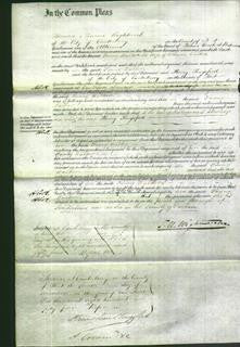 Court of Common Pleas - Fanny Walker-Original Ancestry