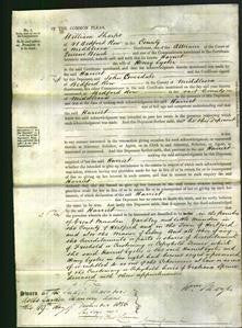 Court of Common Pleas - Harriet Lyster-Original Ancestry