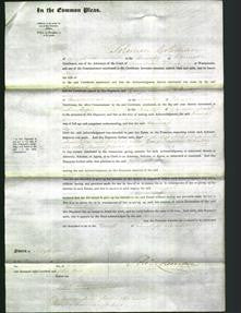 Court of Common Pleas - Hannah Laynes-Original Ancestry