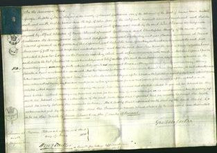 Court of Common Pleas - Jane Mees-Original Ancestry