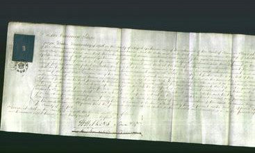Court of Common Pleas - Susanna Reynolds-Original Ancestry