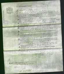 Court of Common Pleas - Ann Hall-Original Ancestry