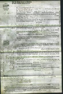 Court of Common Pleas - Jessie Thomas-Original Ancestry