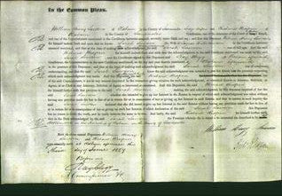 Court of Common Pleas - Sarah Lawson-Original Ancestry