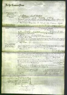 Court of Common Pleas - Mary Ann Rogers