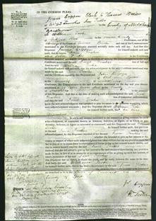 Court of Common Pleas - Jane Foakes-Original Ancestry