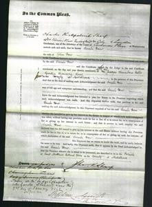 Court of Common Pleas - Sarah How-Original Ancestry