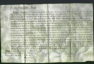 Court of Common Pleas - Mary Holden-Original Ancestry