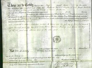 Court of Common Pleas - Sarah Bishop-Original Ancestry