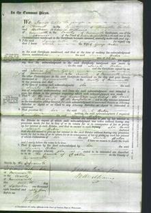 Court of Common Pleas - Sarah Baker-Original Ancestry