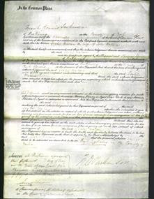 Court of Common Pleas - Isabel Watson-Original Ancestry
