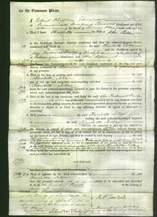 Court of Common Pleas - Charlotte Salter-Original Ancestry