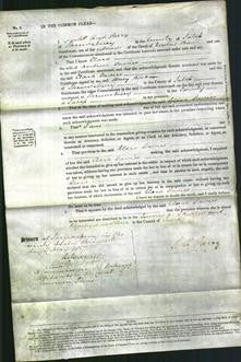 Court of Common Pleas - Clara Davies-Original Ancestry