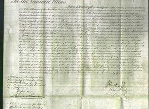 Court of Common Pleas - Mary Warburton Evans-Original Ancestry