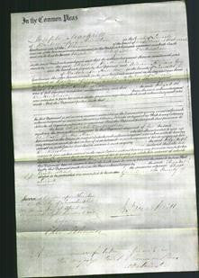 Court of Common Pleas - Elizabeth Burkinshaw-Original Ancestry