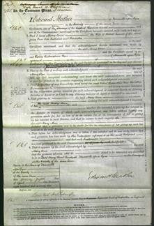 Court of Common Pleas - Mary Ann Turner-Original Ancestry