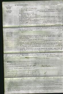 Court of Common Pleas - Sarah Sparrow-Original Ancestry