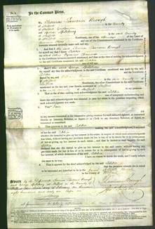 Court of Common Pleas - Letitia Channon-Original Ancestry