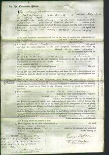 Court of Common Pleas - Sarah Ann Massey-Original Ancestry