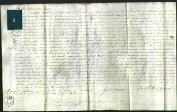 Court of Common Pleas - Millicent de Stage Baroness de Thoren-Original Ancestry