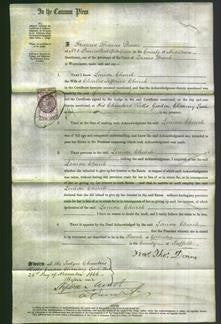 Court of Common Pleas - Louisa Church-Original Ancestry