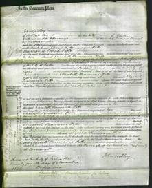 Court of Common Pleas - Elizabeth Penwame Pitts-Original Ancestry