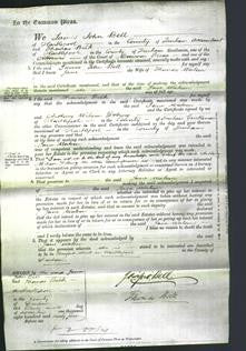 Court of Common Pleas - Jane Watson-Original Ancestry