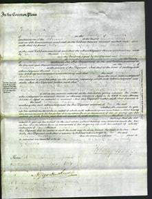 Court of Common Pleas - Catherine Barkley-Original Ancestry