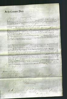 Court of Common Pleas - Elizabeth Burkinshaw-Original Ancestry