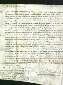 Court of Common Pleas - Mary Pegg-Original Ancestry