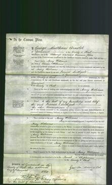 Court of Common Pleas - Amey Williams-Original Ancestry