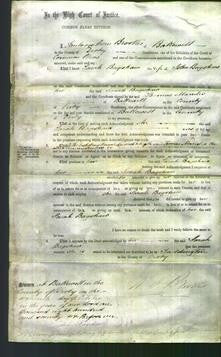 Court of Common Pleas - Sarah Bagshaw-Original Ancestry