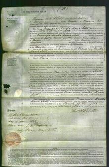 Court of Common Pleas - Francisca Martha Maria Scott-Original Ancestry