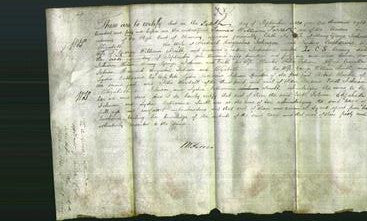 Deed by Married Women - Edith Johnson, Elizabeth Johnson, Lydia Catherine Smith-Original Ancestry