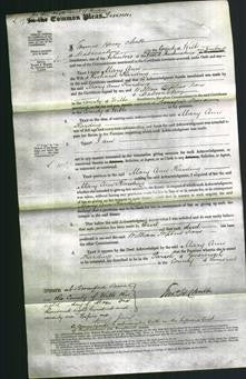 Court of Common Pleas - Ann Harding-Original Ancestry