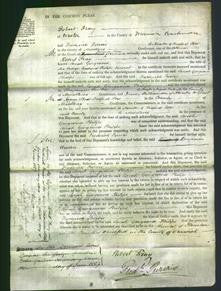 Court of Common Pleas - Sarah Georgiana Philips-Original Ancestry