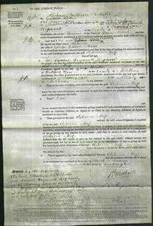 Court of Common Pleas - Rebecca Moss-Original Ancestry