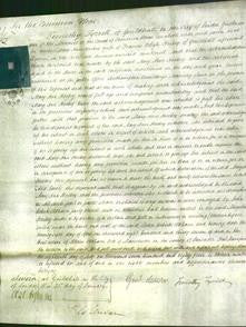 Court of Common Pleas - Mary Ann Hookey-Original Ancestry