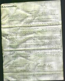 Court of Common Pleas - Catherine Clark-Original Ancestry