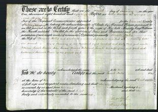 Deed by Married Women - Sarah Hales-Original Ancestry