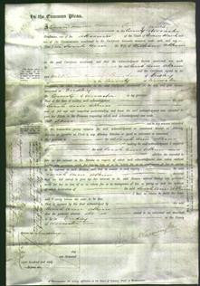 Court of Common Pleas - Sarah Ann Atkins-Original Ancestry