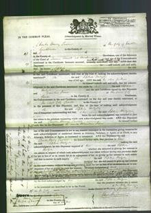 Court of Common Pleas - Sophia Hirtzel-Original Ancestry