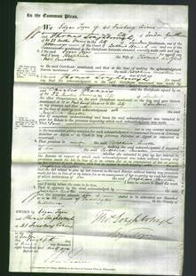 Court of Common Pleas - Josephina Cawston-Original Ancestry