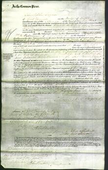 Court of Common Pleas - Elizabeth Buston-Original Ancestry