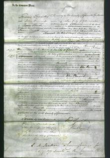 Court of Common Pleas - Ann Hancock-Original Ancestry