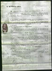 Court of Common Pleas - Elizabeth Dyle-Original Ancestry