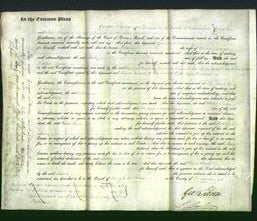 Court of Common Pleas - Mary James-Original Ancestry